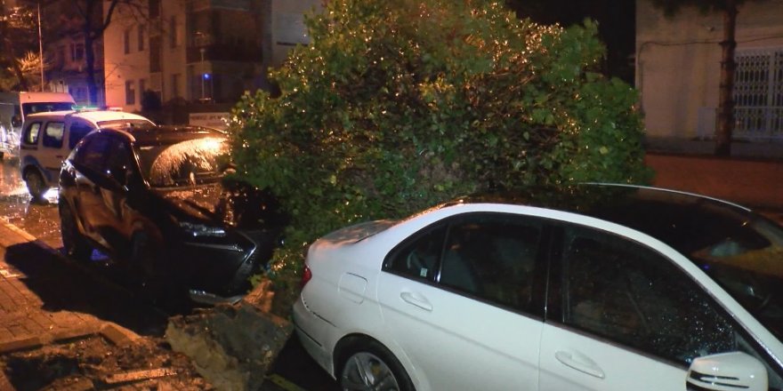 ŞİDDETLİ RÜZGARLA KAMYONETİN KASASI KOPTU AĞAÇ OTOMOBİLLERİN ÜZERİNE DEVRİLDİ