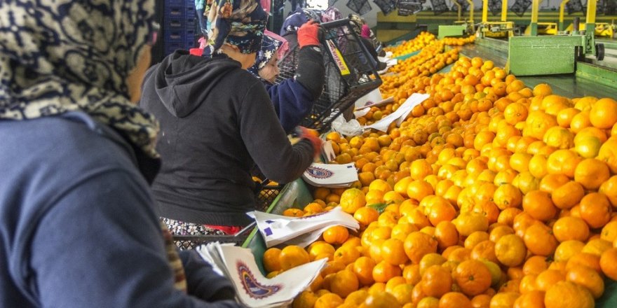 2019’da Gıda Ve Tarımda Öne Çıkanlar