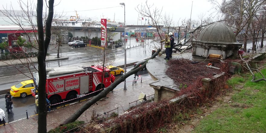 BEYOĞLU'NDA DEVRİLEN AĞAÇ TARİHİ ÇEŞMEYE ZARAR VERDİ