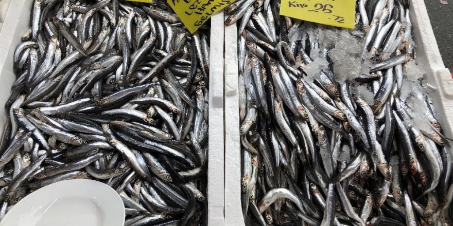 Balık Satışlarına Fırtına Engeli