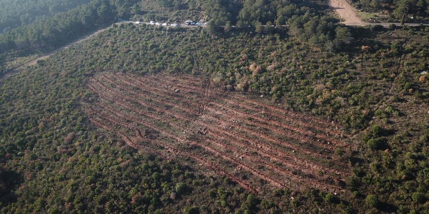 AYDOS ORMANI'NDAKİ YANGINLA İLGİLİ KEŞİF YAPILDI