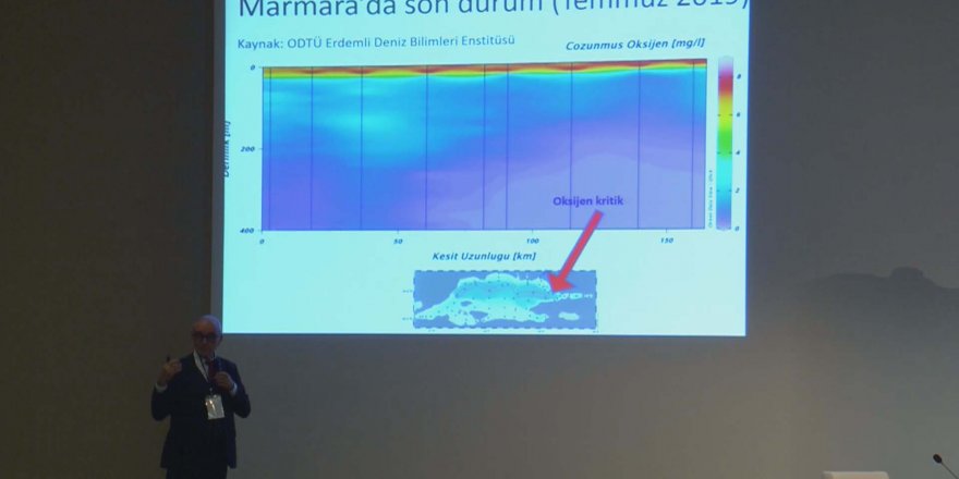 PROF. DR. CEMAL SAYDAM: (KANAL İSTANBUL) ERKEKLİĞİ ÖLDÜRÜR