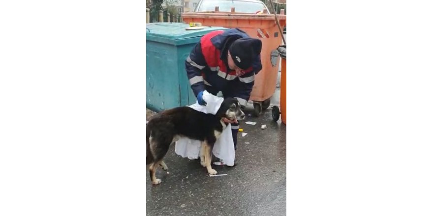 Temizlik İşçisi Yağmurdan Islanan Köpeği Kuruladı, İçleri Isıttı