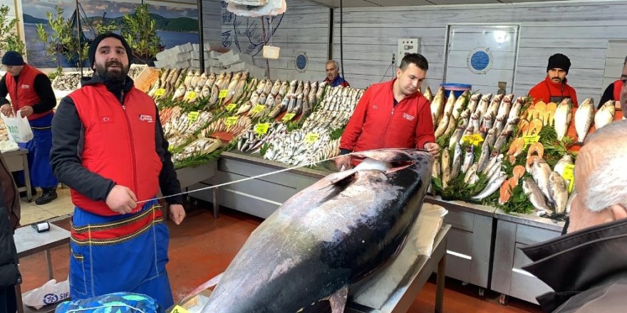 325 Kiloluk Orkinos Görenleri Şaşkına Çevirdi