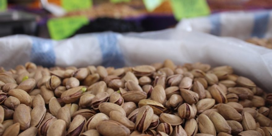 Tarım Ürünleri İhracatında Sert Kabuklu Meyveler Lider