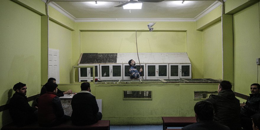 OTOMOBİL FİYATINA GÜVERCİN