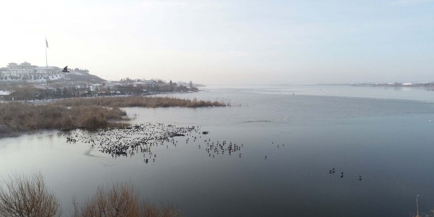 ANKARA'DA MOGAN GÖLÜ KISMEN BUZ TUTTU