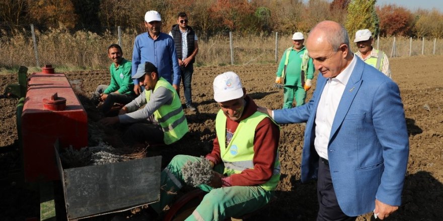 Büyükçekmece’de “Tarım Yılı” Eğitim Programı Başlıyor