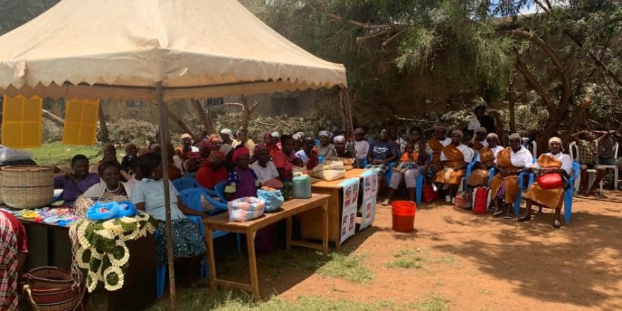 BOEHRİNGER INGELHEİM LİDERLİK PROGRAMI İÇİN KENYA'DA TOPLANDI