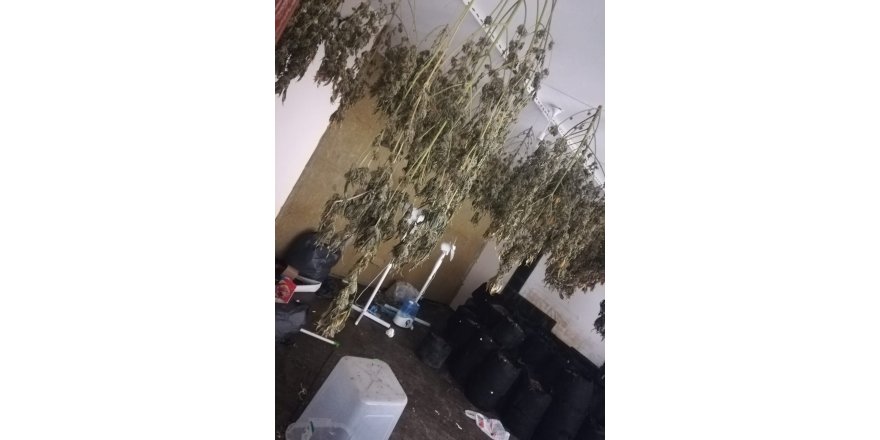 MALTEPE'DE HIRSIZ GİREN EV UYUŞTURUCU SERASI ÇIKTI 