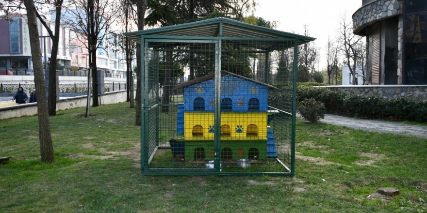 Esenyurt Belediyesi’nden Sokak Hayvanlarına Korunaklı Yuva