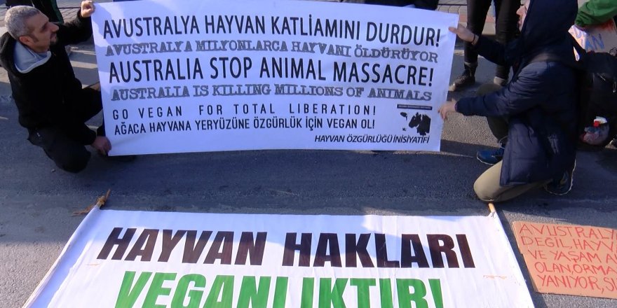 AVUSTRALYA BAŞKONSOLOSLUĞU ÖNÜNDE "DEVE" EYLEMİ