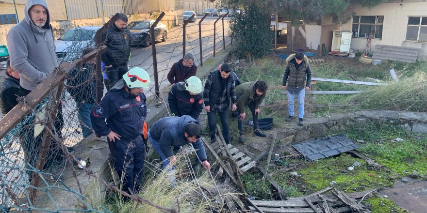 KARTAL'DA KUYUYA DÜŞEN KÖPEĞİ İTFAİYE EKİPLERİ KURTARDI