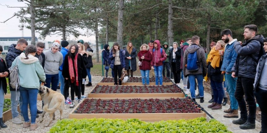 6 Ülkeden Çevreci Öğrenciler Başakşehir’i Ziyaret Etti