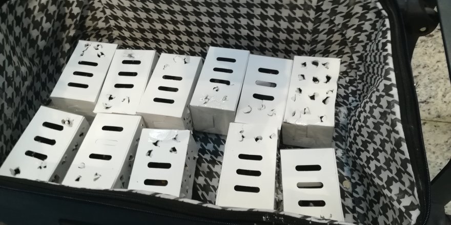 İSTANBUL HAVALİMANI'NDA SAKA KUŞU KAÇAKÇISINA 95 BİN LİRA CEZA