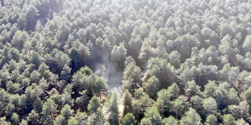Aydos Ormanı’nda Yangının Çıktığı Alan Havadan Görüntülendi