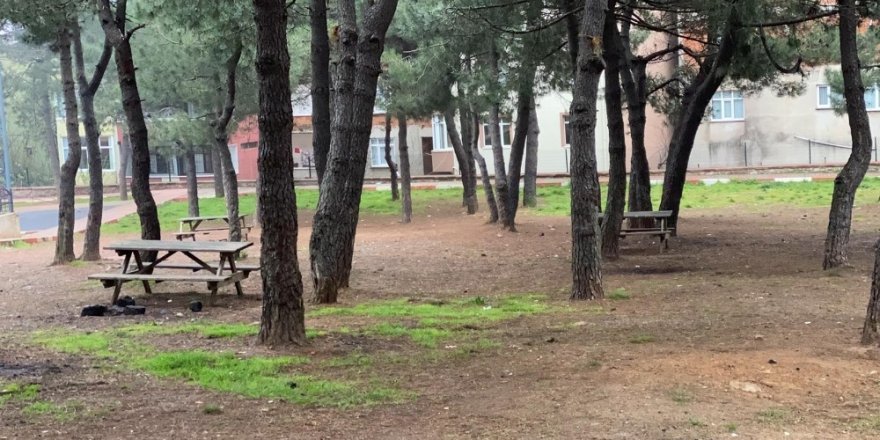 İstanbul’da Korona Virüs Nedeniyle Piknik Alanları Boş Kaldı