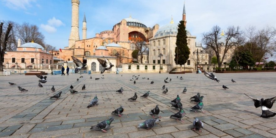 Yerlikaya: ”Meydanlarımızı Kuşlara, Sahilimizi Martılara Bıraktık”