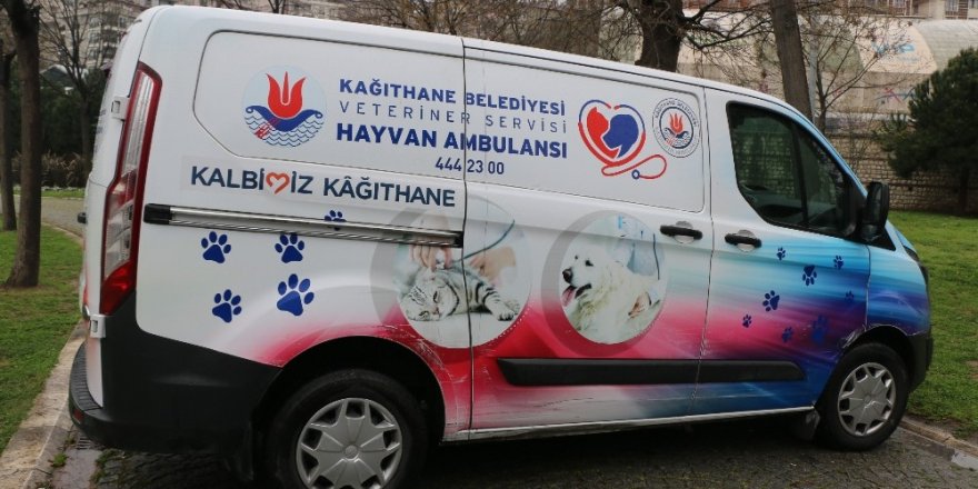 Kağıthane’de Sokak Hayvanları Unutulmadı