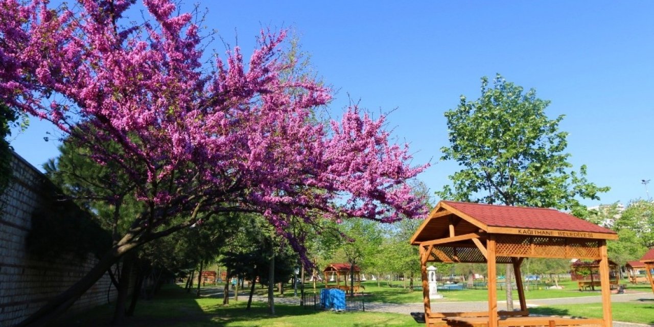 Kağıthane’de Baharın Renk Cümbüşü
