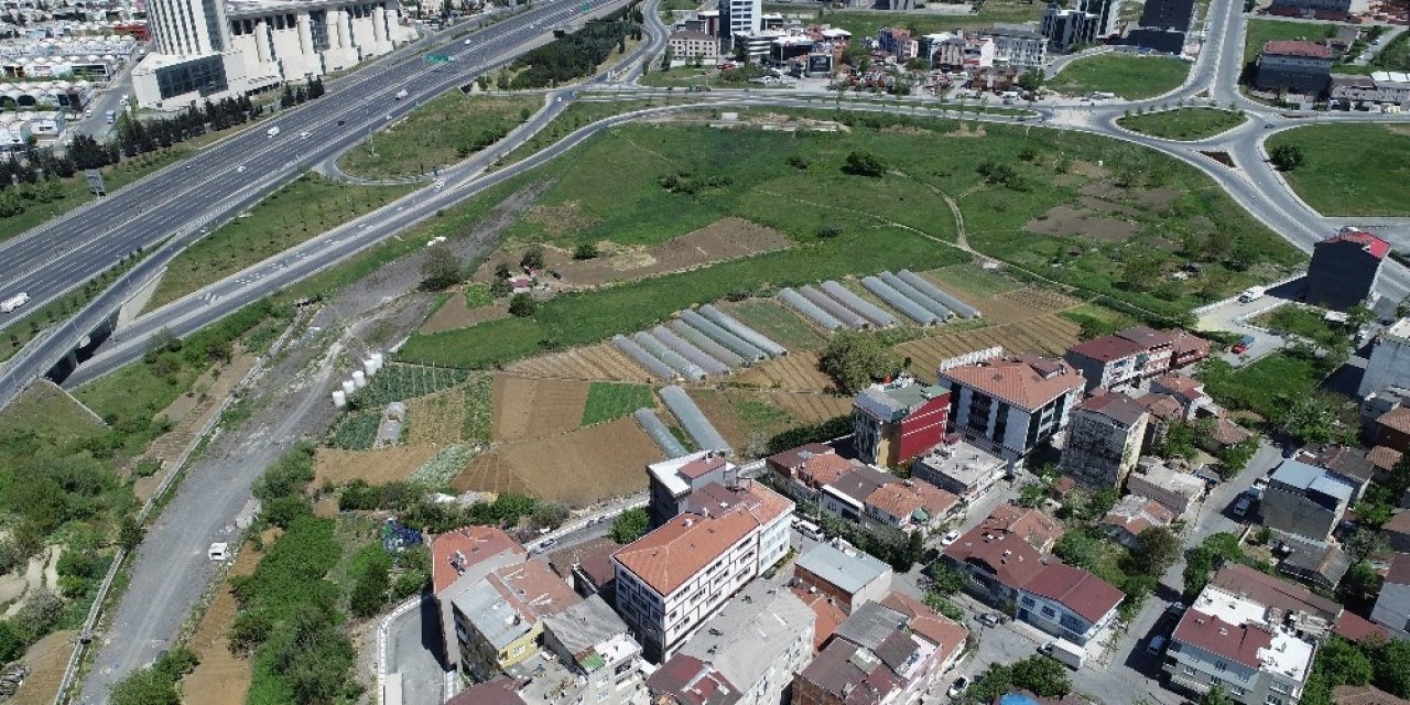 İstanbul’un  Seralarında Tarım Başladı