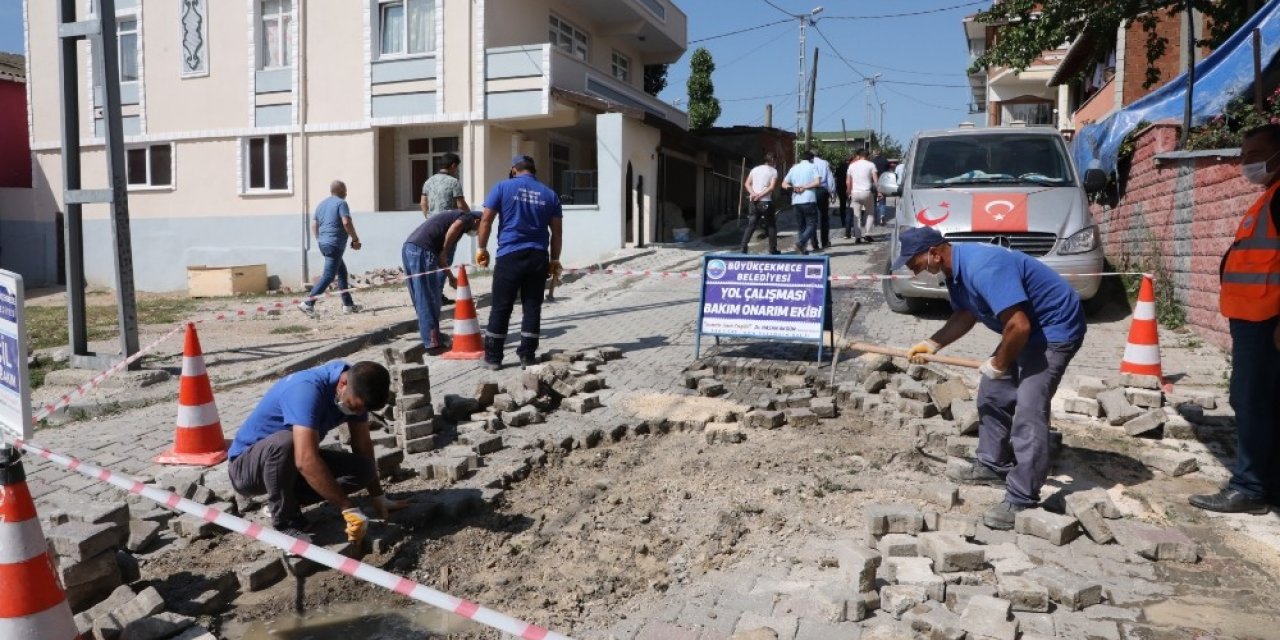 Ahmediye’nin Her Sokağında Yaza Hazırlık Çalışması