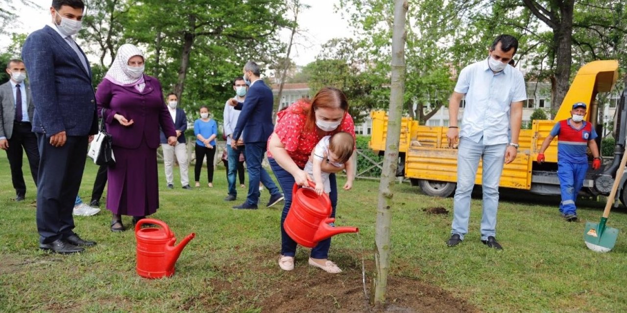 Dünya Çölleşmeyle Mücadele Günü’nde Çocuklar İçin Ağaç Diktiler