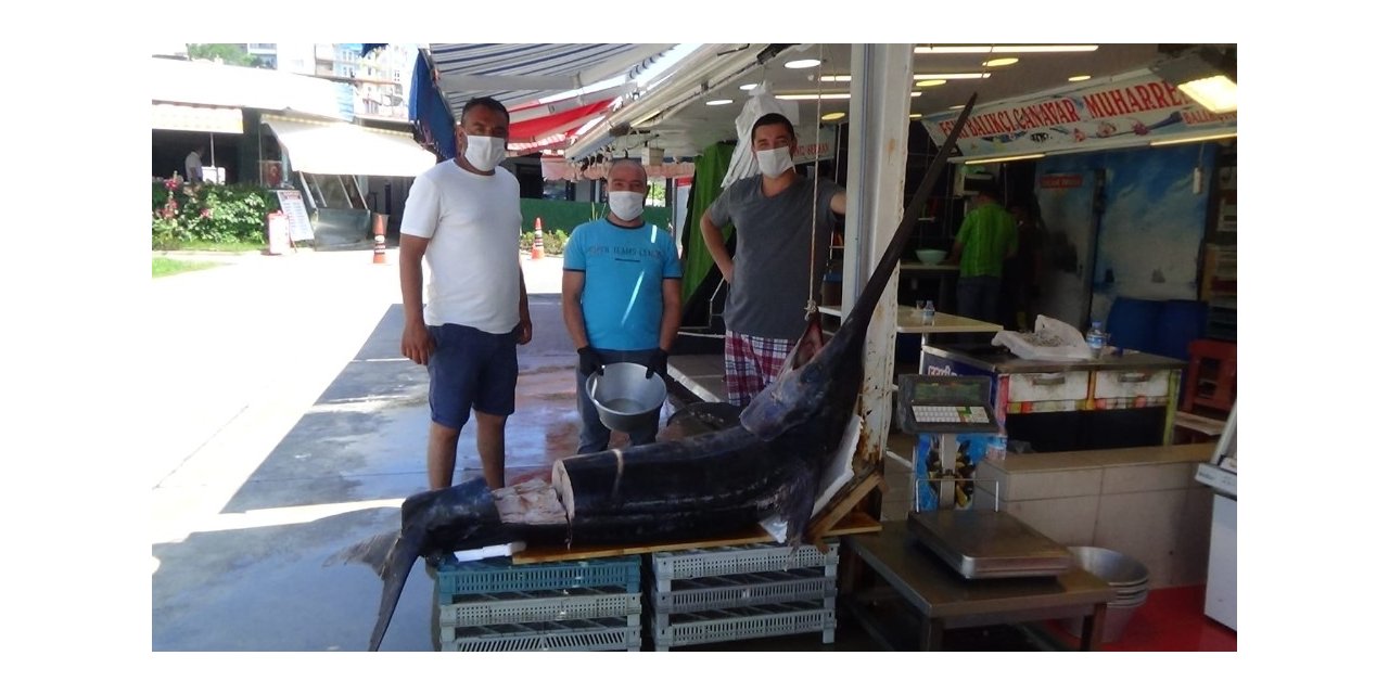 2.5 Metrelik Dev Kılıç Balığı Saroz’da Yakalandı