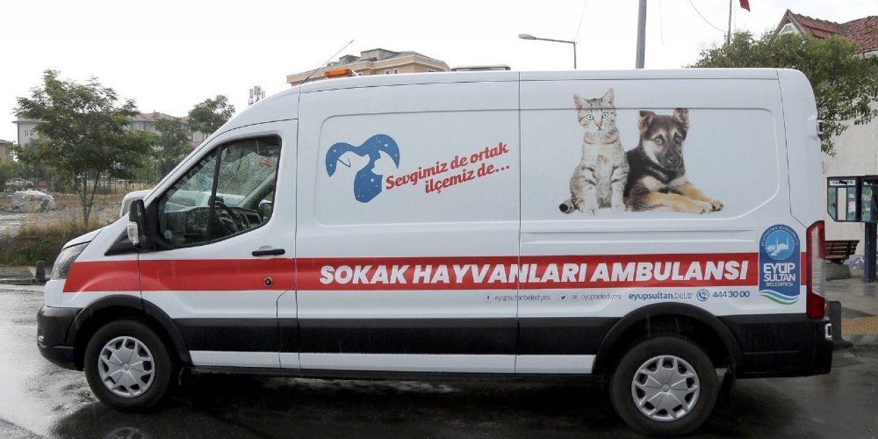 Eyüpsultan’da Dikkat Çeken Çalışma