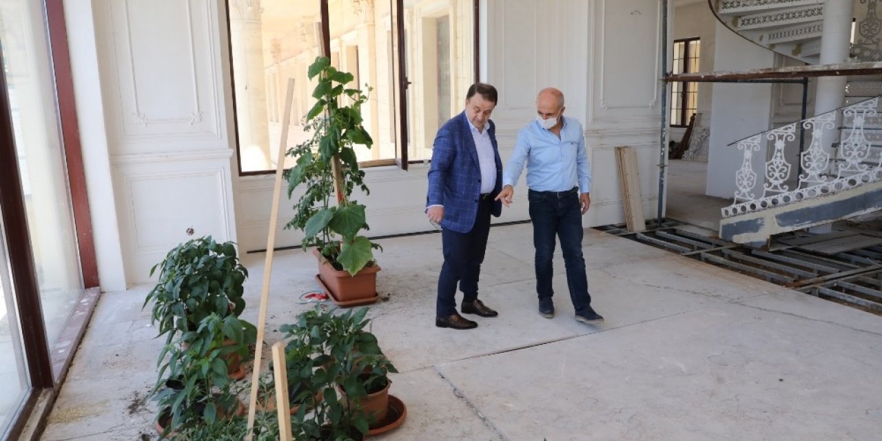 Başkan Akgün Makam Balkonunda Organik Meyve Ve Sebze Yetiştiriyor