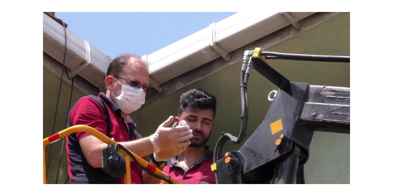 Yavru Kırlangıçlar Yıkımı Durdurdu