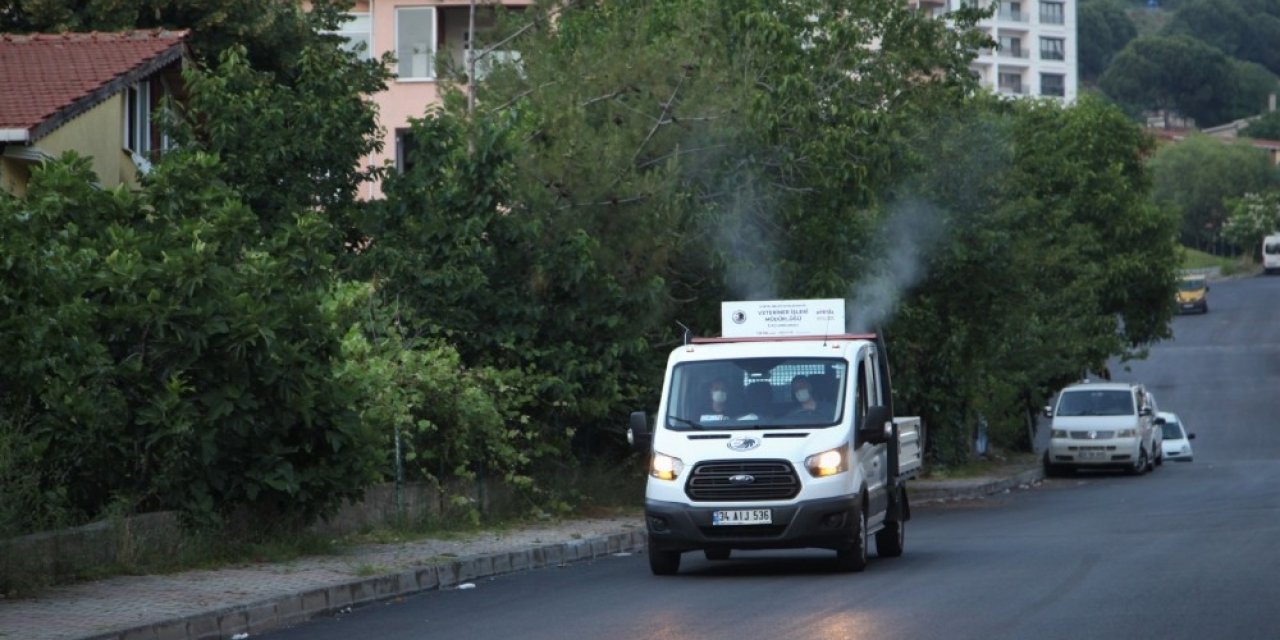 Kartal Belediyesi’nin Sivrisinek Mücadelesi Başladı