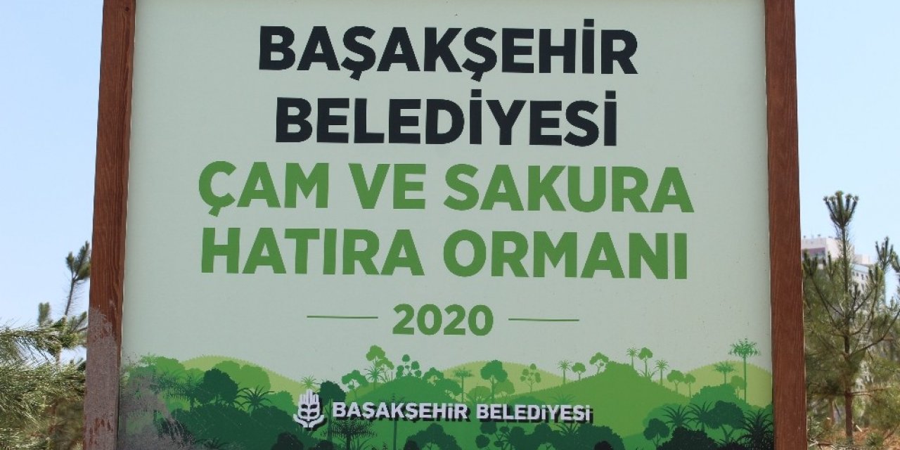 Başakşehir Şehir Hastanesi’nin Çevresini Süsleyen Ağaçların Sulama Sistemleri Yapılıyor