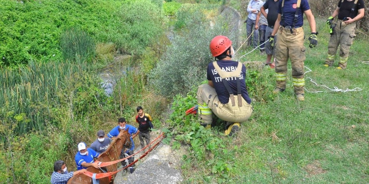 Dereye Düşen Ata Nefes Kesen Kurtarma Operasyonu