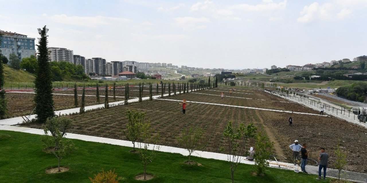 Başkan Çalık: “beylikdüzü’nün Her Tarafını Yeniliyoruz”