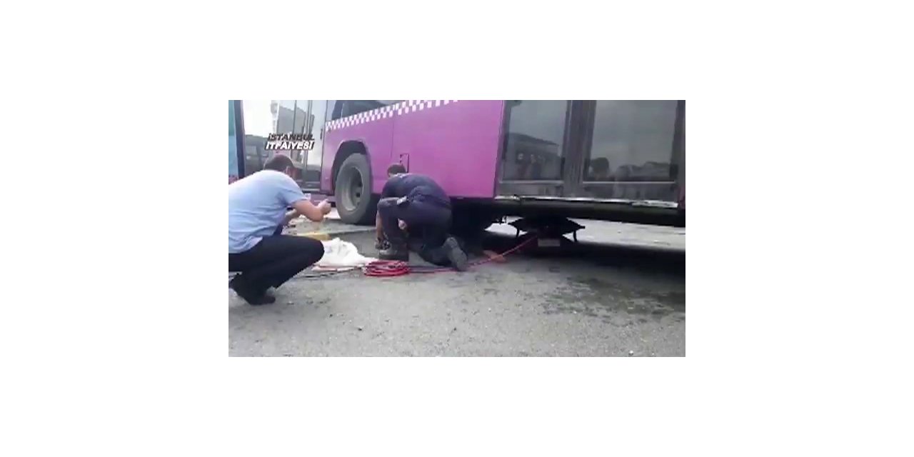 İtfaiye Ekipleri Otobüsün Motor Kısmına Sıkışan Kedi İçin Seferber Oldu