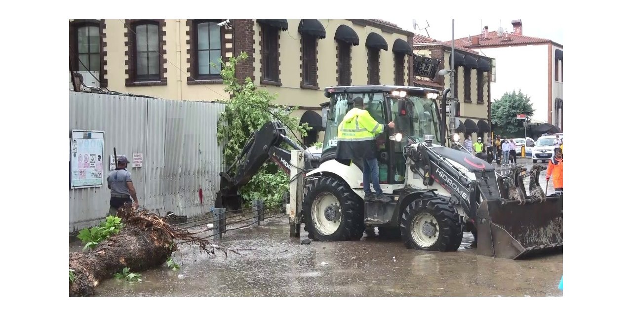 Beşiktaş’ta Seyir Haline Olan Minibüsün Üzerine Ağaç Devrildi