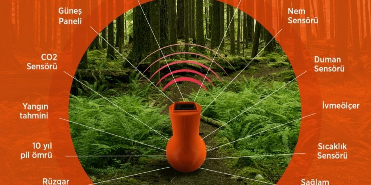 Orman Yangınlarına Karşı Akıllı Orman Kapsülü Geliştirildi