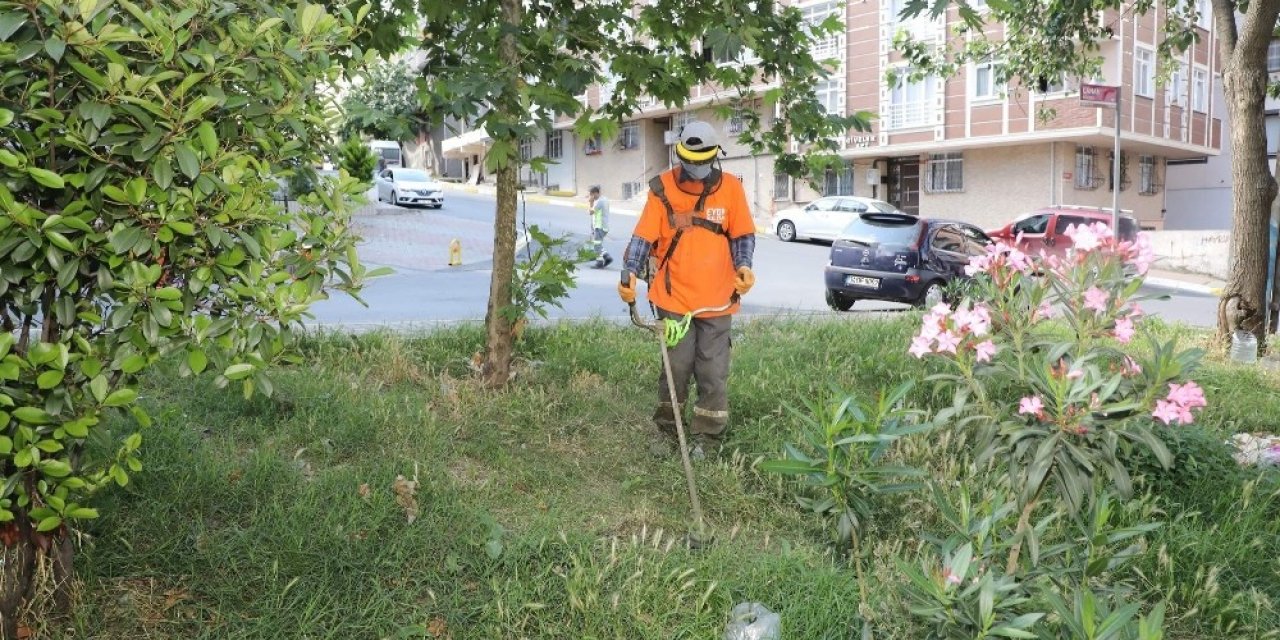 Yeşilpınar Mahallesi’nde Yazlık Bakım Çalışmaları Gerçekleştirildi