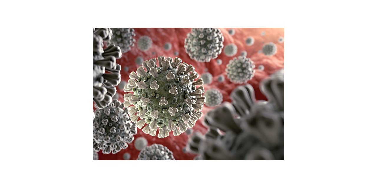 Koronavirüs Hakkında Çıkan Haber Sayısı 25 Milyonu Aştı