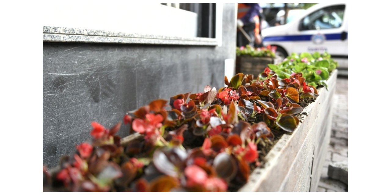 Esenyurt’ta Selde Zarar Gören Çiçeklerin Yerine Yenisi Dikildi