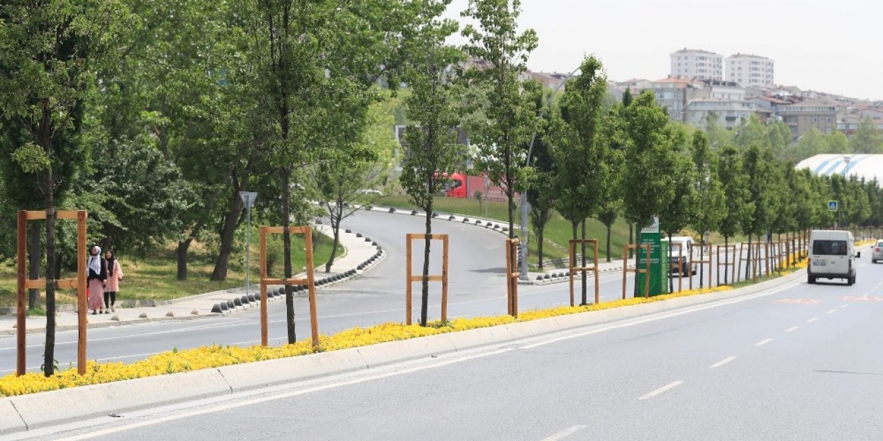 Daha Yeşil Bir Sultangazi İçin Çalışmalar Sürüyor