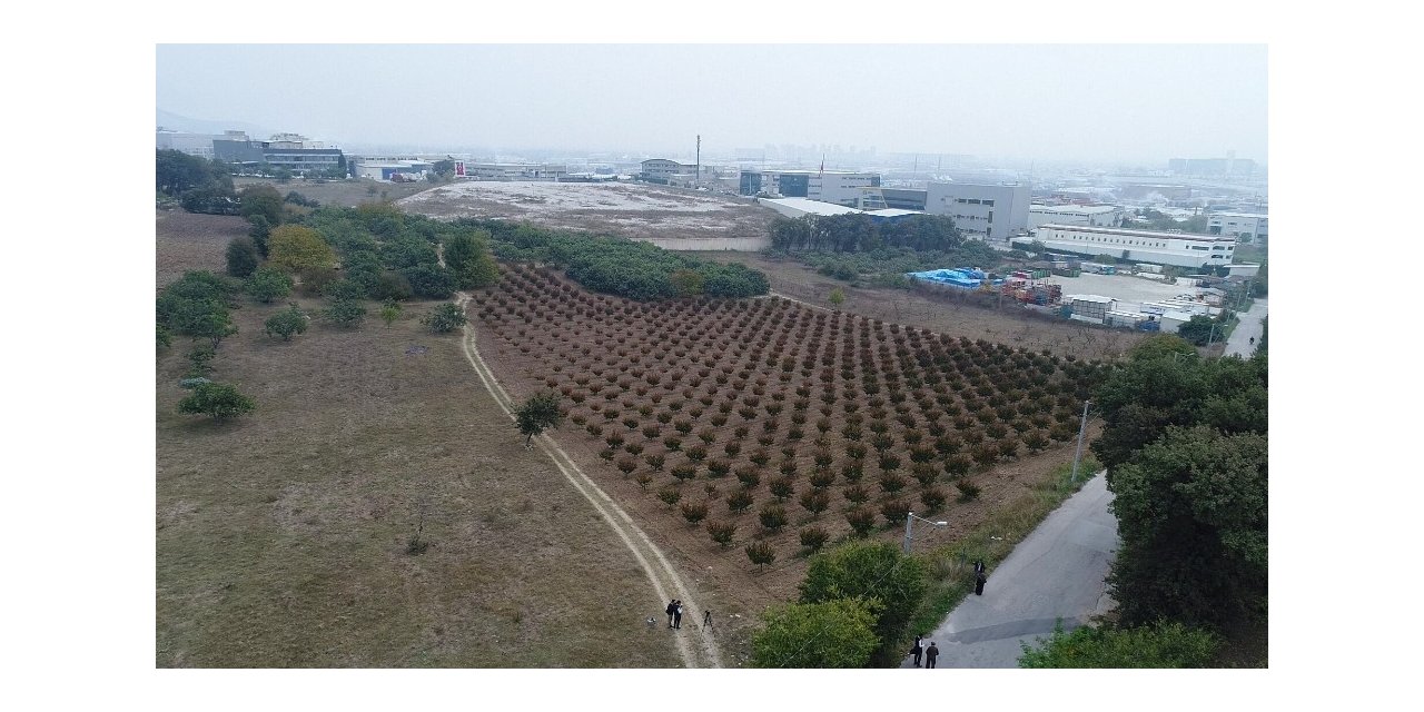 Toki’nin Arsaları Açık Arttırma İle Satışa Çıkıyor