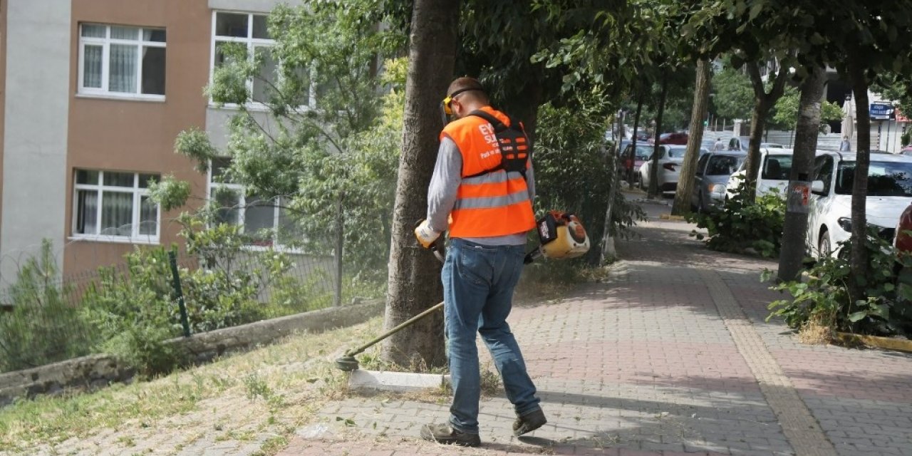 Karadolap Mahallesi’nde Yaz Kampanyası Çalışmaları