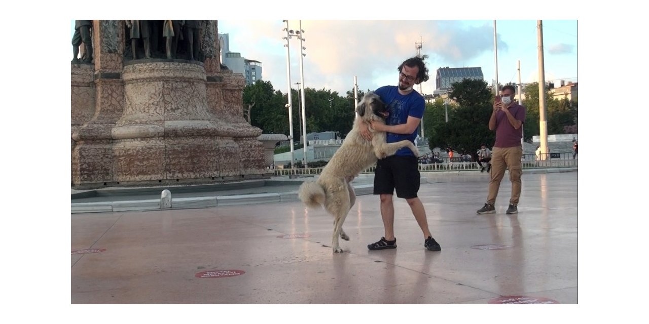 Önce Sevdi, Sonra Kaçtı: Taksim’de Vatandaşın Köpekle İmtihanı