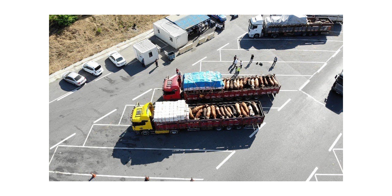 İstanbul’a Gelen Kurbanlıkların Denetimleri Havadan Görüntülendi