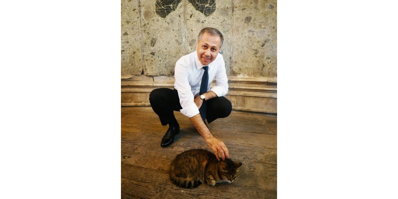 Vali Yerlikaya Ayasofya’nın Meşhur Kedisiyle İlgilendi