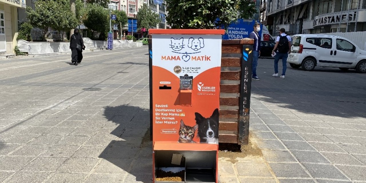 Esenler’de Sokak Hayvanları Mamamatik İle Besleniyor