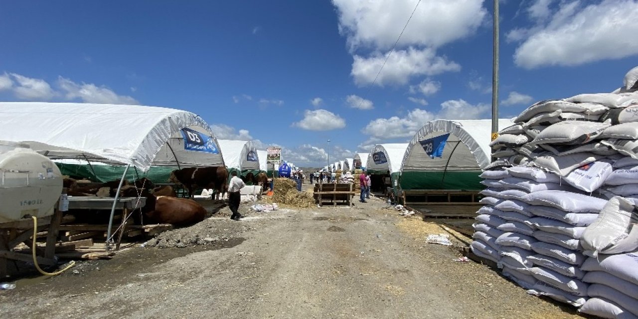 (düzeltme) Sultangazi’de Kurban Pazarı Hazırlıklarında Korona Virüs Önlemleri