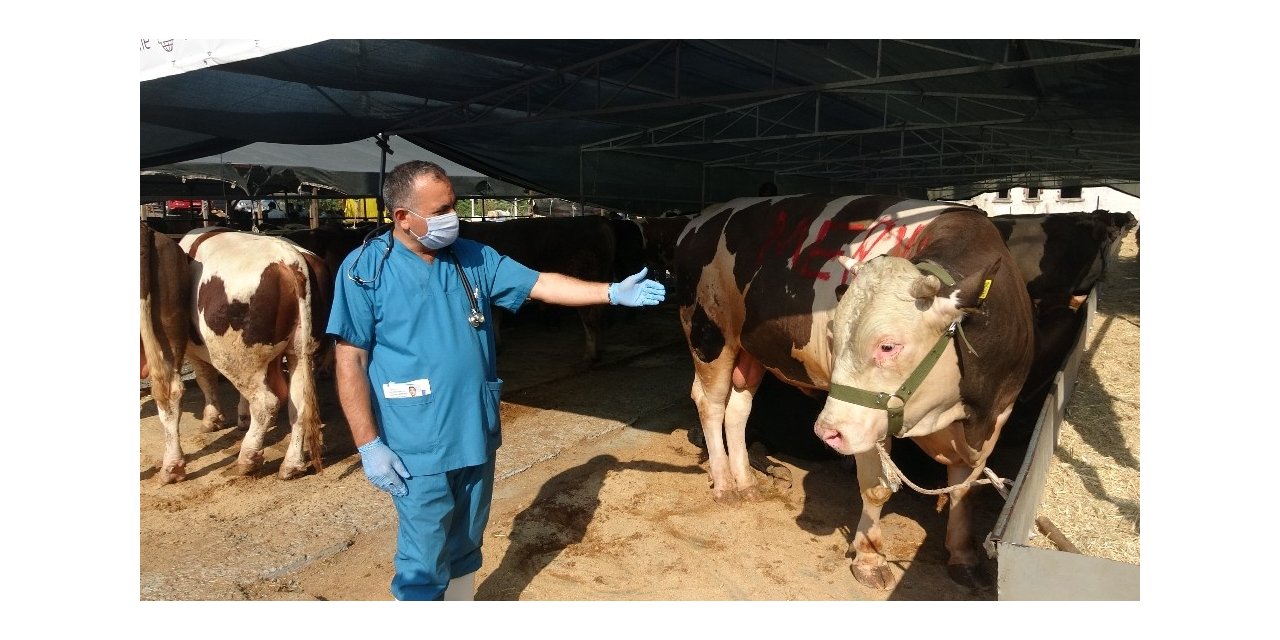Kartal’da Kurban Satış Alanında Termal Kamera Dönemi